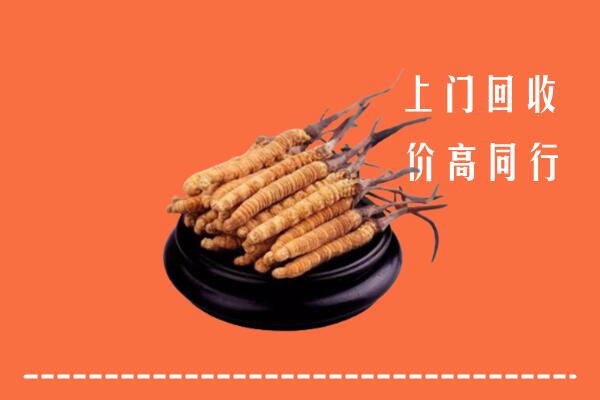 高价求购：寻甸县回收散虫草